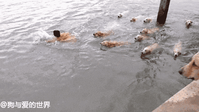 第一次去健身_健身去登山打一数字_健身去哪里学比较好