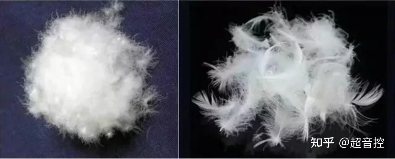 高端运动品牌有哪些_高端运动装品牌排行榜前十名_高端运动
