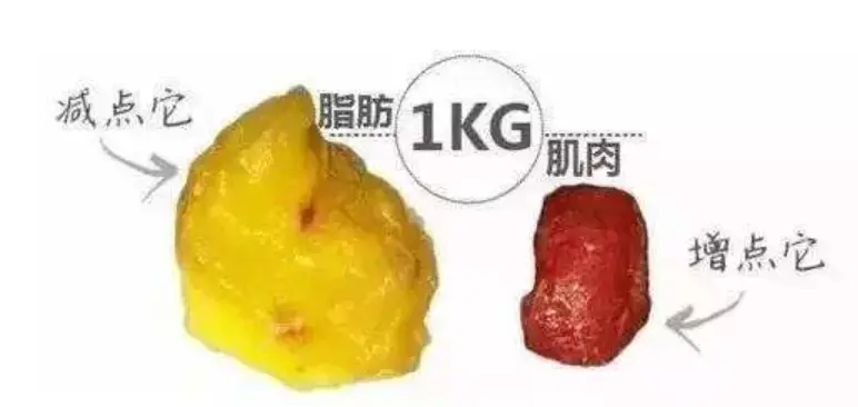 运动后体重增加_运动了体重增加了_运动后体重增加了还要运动吗