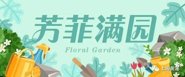 鸽健身_鸽健身_鸽健身操