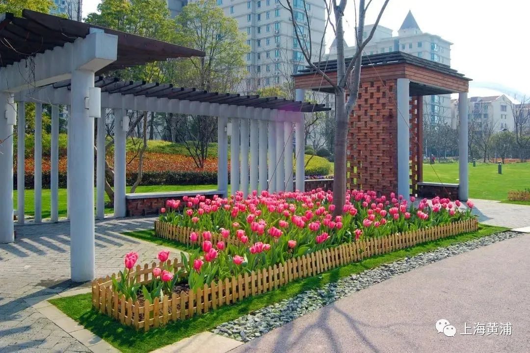 鸽健身操_鸽健身_鸽健身
